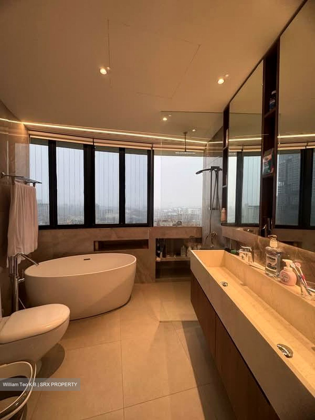 The Draycott (D10), Apartment #568284351